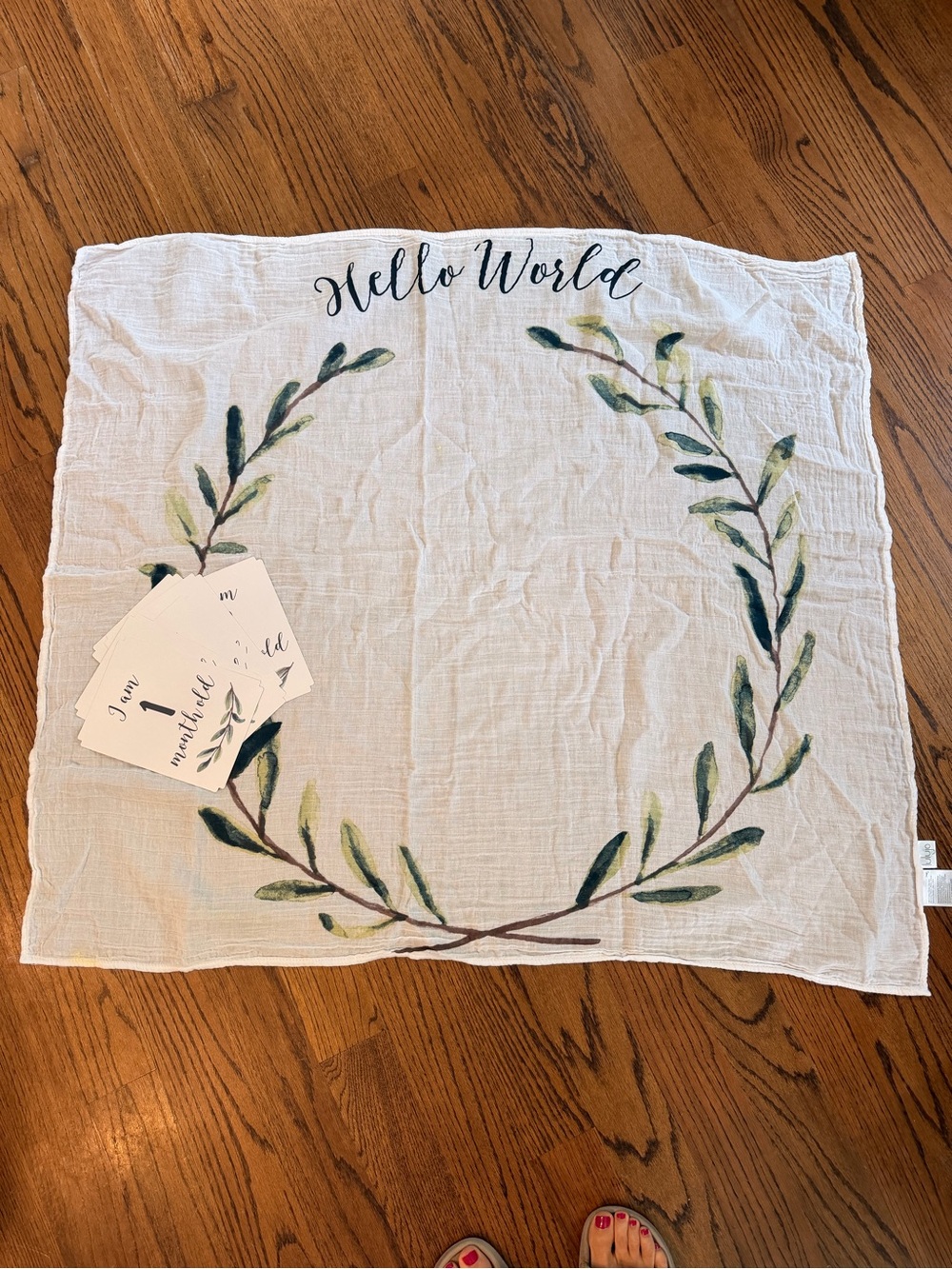 Lulujo Baby’s First Year – “Hello World”